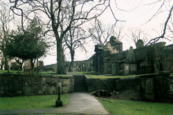 jacindaelena:   birdsnest. || Greyfriars Kirkyard. 