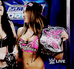 Favorite Female Wrestler {nikki Bella)