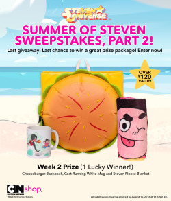 The second Summer of Steven Sweepstakes giveaway