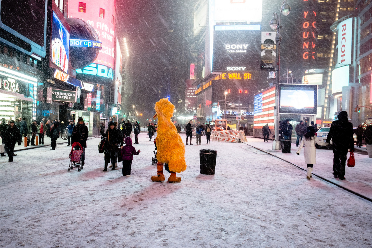 Even Big Bird has to hustle in Times Square