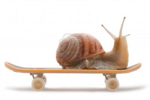kingcheddarxvii: okhammock: all of the pics of snails on skateboards yr gonna find  Thank you! 