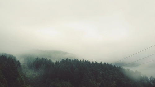 significvnt:  greaterland:  Tyler Forest-Hauser  