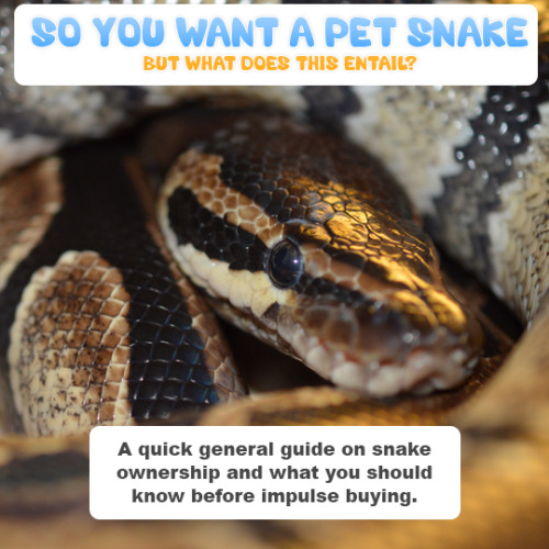 PSA