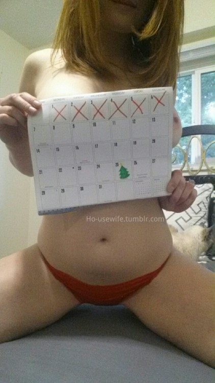 Ho/usewife