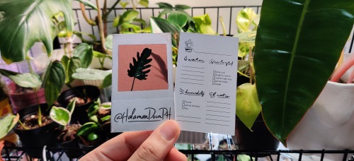 i got commissioned to paint a leaf and make a plant care card to slip into Halaman Doon PH&rsquo;s d