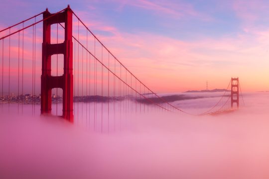 Porn Pics The Best San Francisco Tours For The Budget