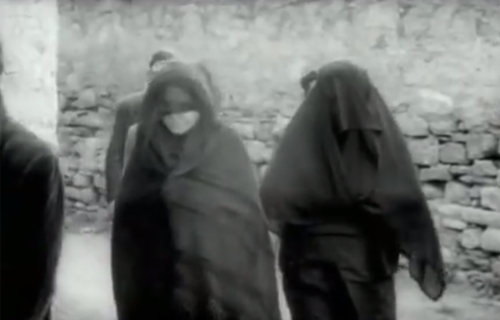 throughaglassdarkly1961:    Lejos de los árboles (1972), dir. Jacinto Esteva   