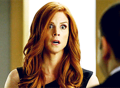 you know i love you donna