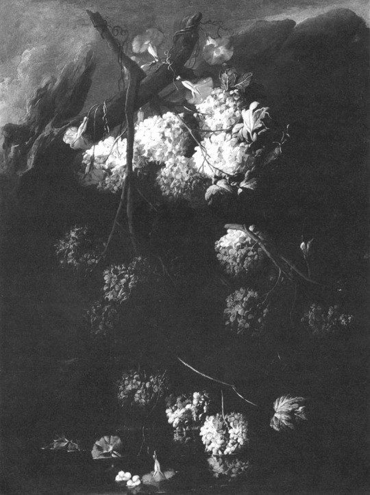 spectral-insomnia:  Andrea Belvedere - Flowers 