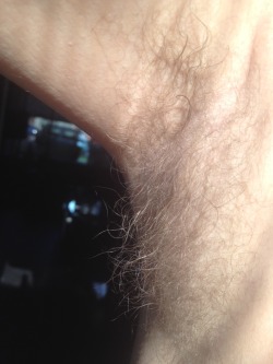 dutchtrucker002:  Hairy armpit 