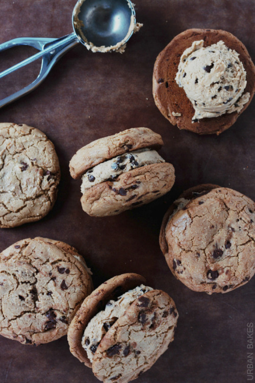 verticalfood:Edible Chocolate Chip Cookie Dough Sandwich