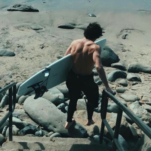 Back Muscle Appreciation Post