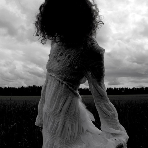 instinctsoflife.tumblr.com/post/167457971935/