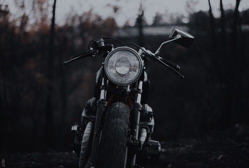 Daryl Dixon Ladies And Gentlemen
