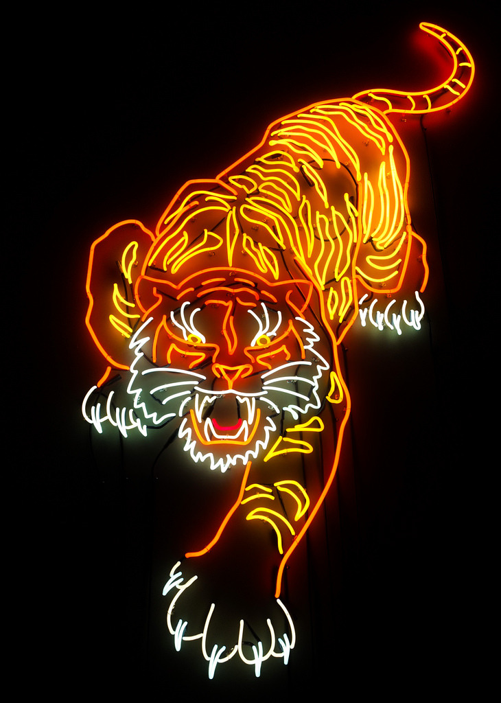 neon-feels-at-night:source: x