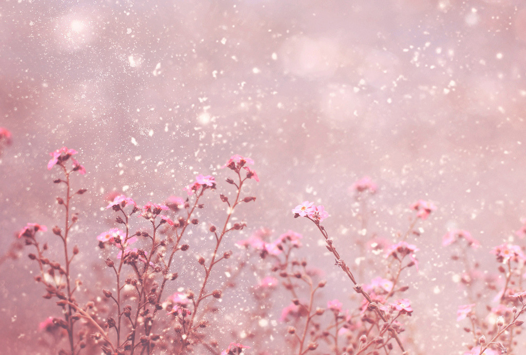 englishsnow:  by ►i.Anton 