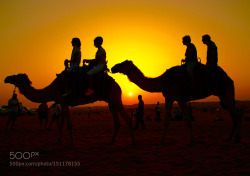 socialfoto:  Camel riding in the Arabian
