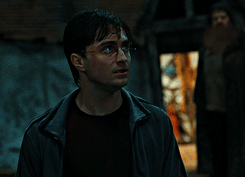 HARRY POTTER AND THE DEATHLY HALLOWS: PART 1 (2010)