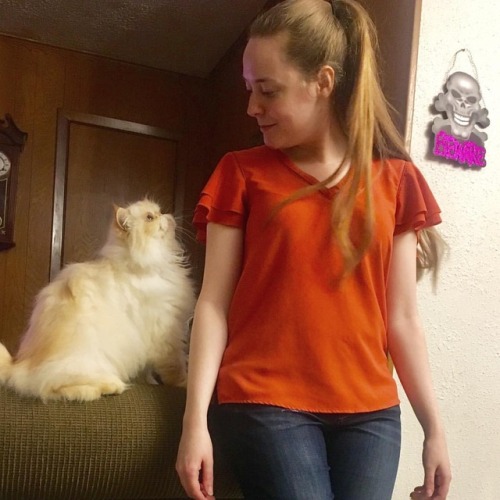 So this is love #fluffypantsdaily #himalayan #persian #cat #catsofinstagram #catsoftumblr #catstagra