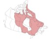 The Canadian Shield Highlighted in Red.
The Canadian Shield refers to the exposed portion of the continental crust underlying the majority of North America. The crust, also known as the North American Craton, extends from northern Mexico to Greenland...