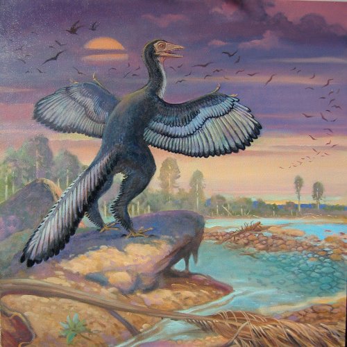 Archaeopteryx, William StoutIt was the last love song that meant something. The album dropped when h