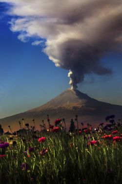 crescentmoon06:    Popocatepet volcano, Mexico,   