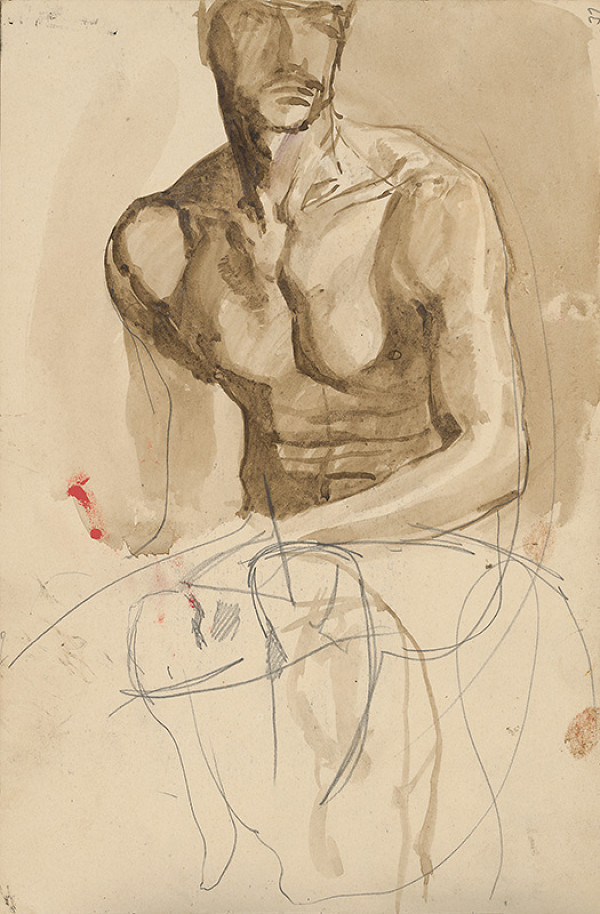 themaleform1223:Ladislav Mednyánszky