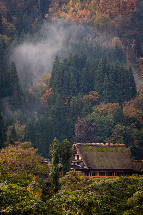 House in the Woods by João Maia One of the traditional thatched roof houses of Ogimachi village stan