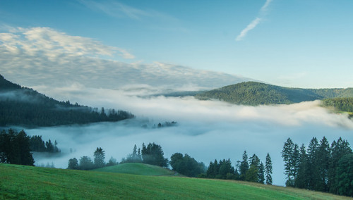 Misty morning by Guido de Kleijn on Flickr.