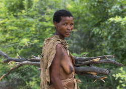   Bushman Woman Carrying Wood, Tsumkwe, Namibia,