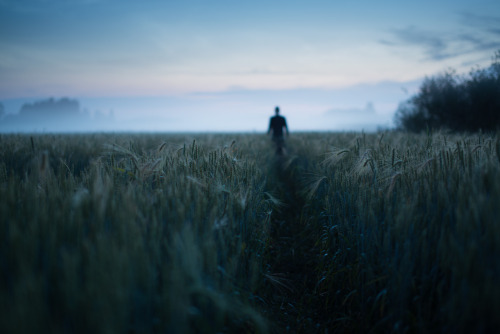 Path by MikkoLagerstedt