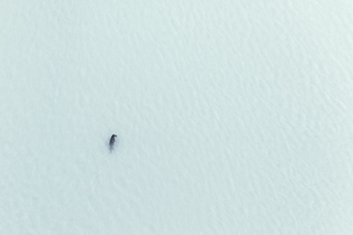 mystic-revelations:  Abstract Iceland   By Zack Seckler