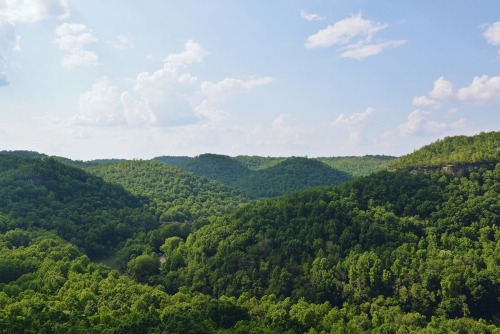 Catawba Overlook in the Big South Fork