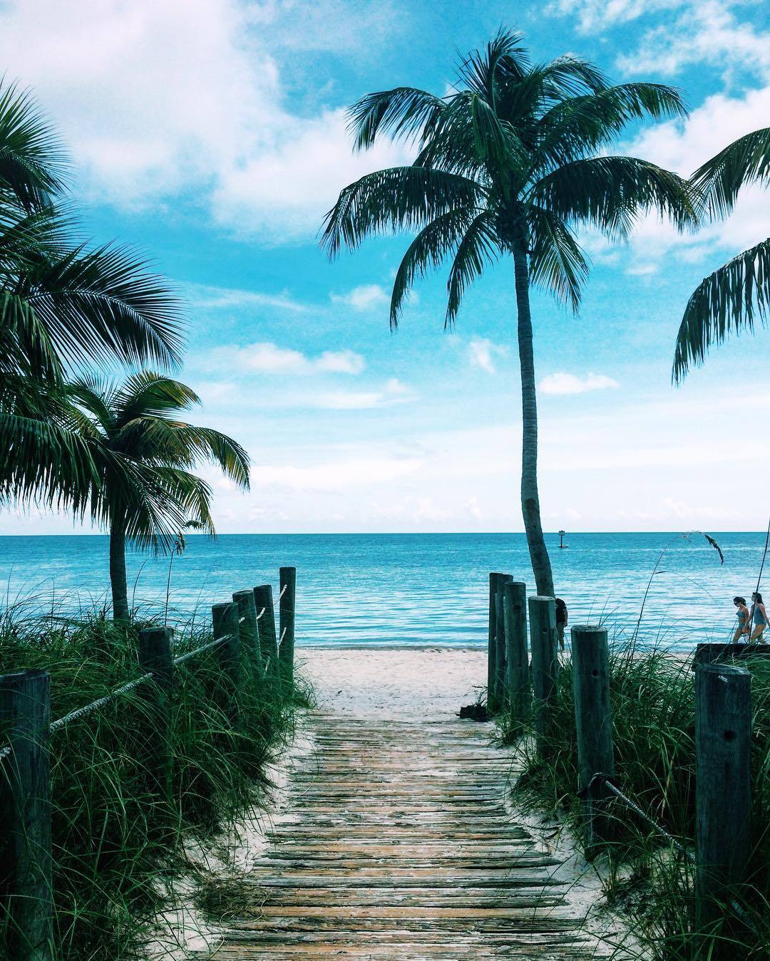 Tropical