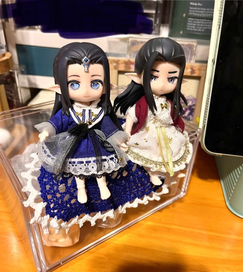 Doll Customize