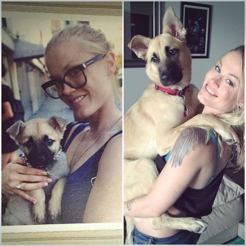 Then & Now - my baby Lili 💕 by hollywoodcensored