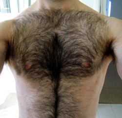 Mostly Hairy Hot Men