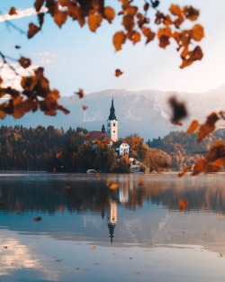 wanderloco: Reflections Lake Bled 🇸🇮