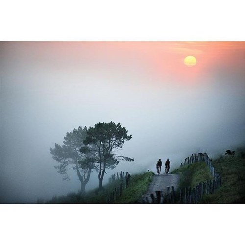 pingonow:  repost @orbeabicycles #rideinthemist #basquecountry #orbeaspirit #orbeaavant