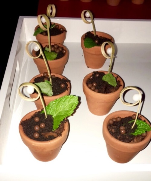 Pot brownies