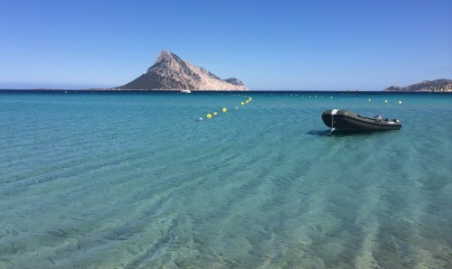 discovr-beauty:Porto Taverna | Sardinia | Italy.My shot. discovr-beauty