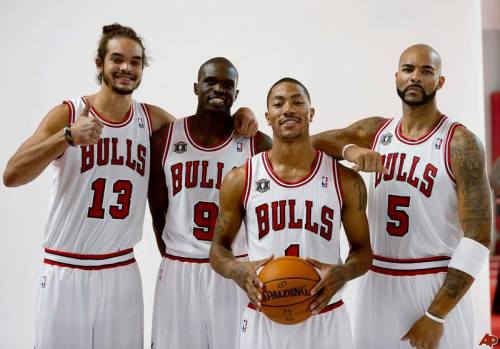 chicago bulls