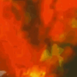 ~NOISE STIMBOARD + YELLOW AND CHAOTIC STIMS~