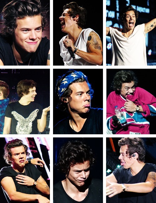 musiclover-1d:  Harry’s faces through the TMH Tour