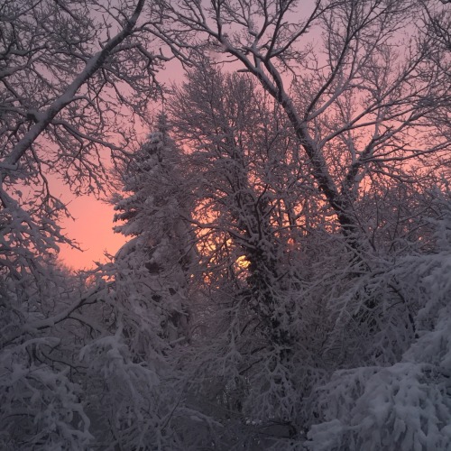 keithxedge:  February 5th, 2016 The sun sets and beauty is everywhere