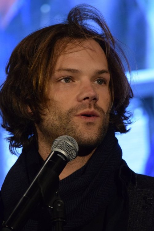 fandomismyspirit:He’s so fluffy!!!! SPN DC CON 2017 - J2 Gold Panel nothingnessjust