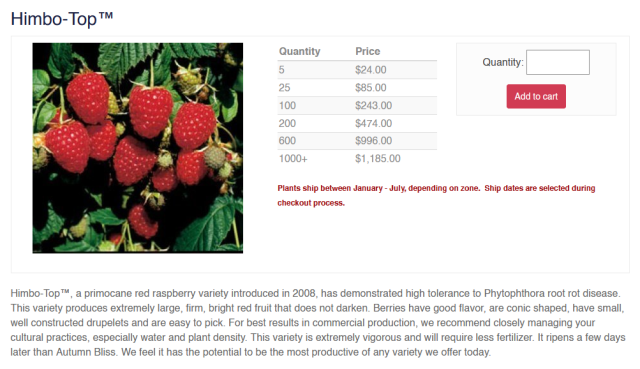 A screenshot of a website that sells plants, with a picture of red raspberries and this description: "Himbo-Top™, a primocane red raspberry variety introduced in 2008, has demonstrated high tolerance to Phytophthora root rot disease. This variety produces extremely large, firm, bright red fruit that does not darken. Berries have good flavor, are conic shaped, have small, well constructed drupelets and are easy to pick. For best results in commercial production, we recommend closely managing your cultural practices, especially water and plant density. This variety is extremely vigorous and will require less fertilizer. It ripens a few days later than Autumn Bliss. We feel it has the potential to be the most productive of any variety we offer today. "