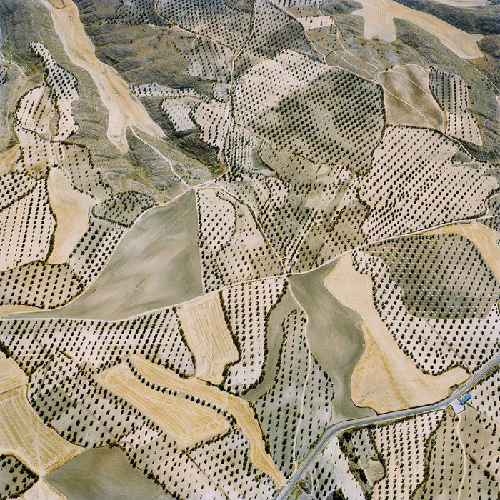 nevver:  Pattern recognition