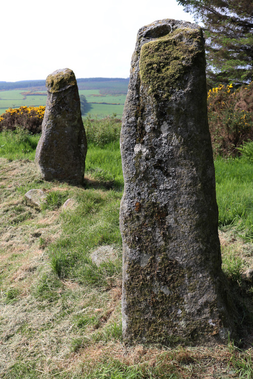 Aikey Brae Stone Circle, near Old Deer, Scotland, 2.6.18.A recumbent stone circle built in the 3rd m