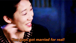  Grey’s Anatomy in a nutshell 